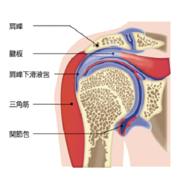 拘縮肩